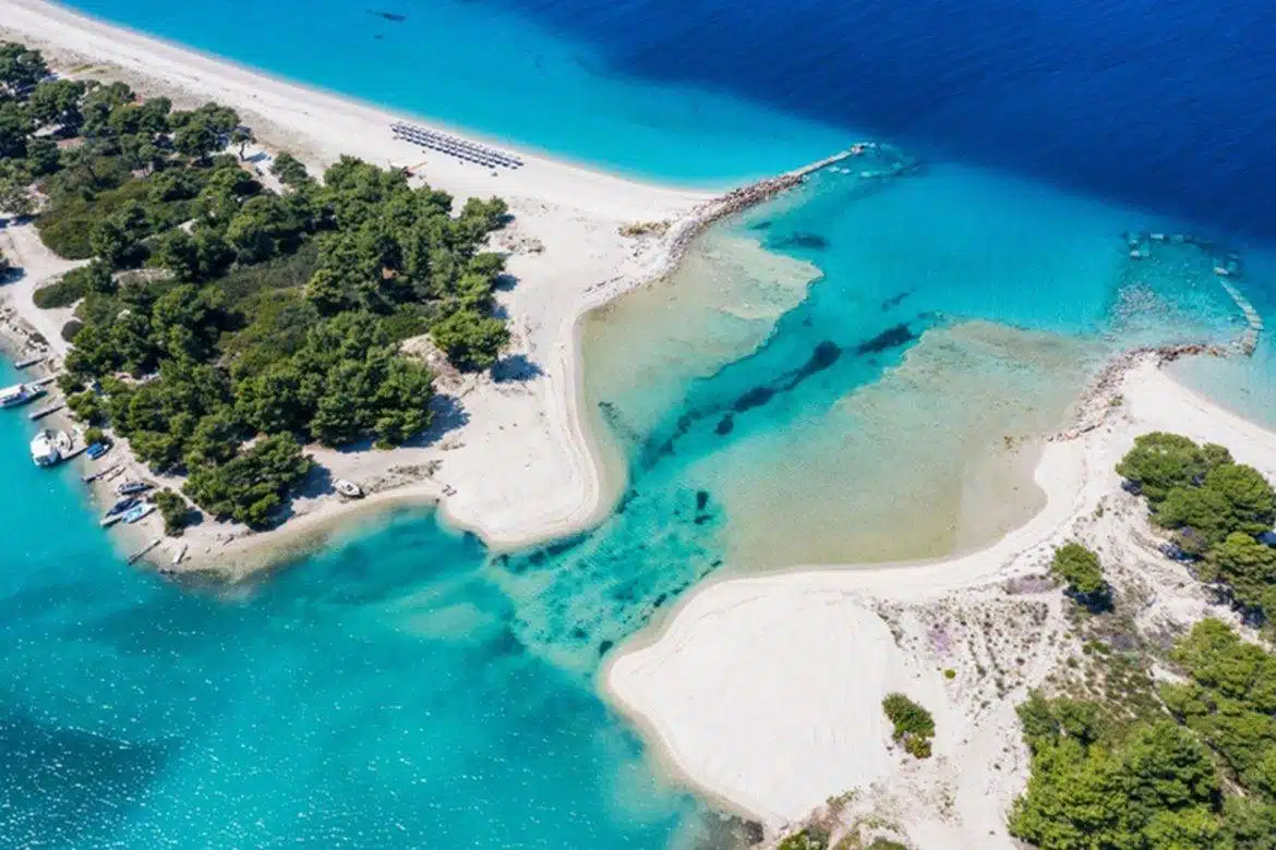 PASTE HALKIDIKI - imagine 4