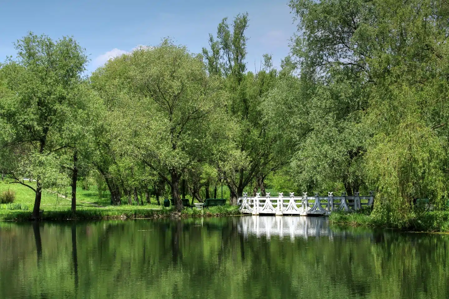 CHISINAU 11 -15 martie 2026 - imagine 2